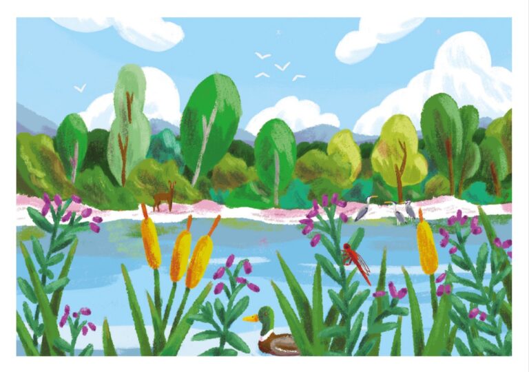 Screenshot 2026-02-11 at 16-20-08 eco-sante_cates_action_dimensions_quizz-1